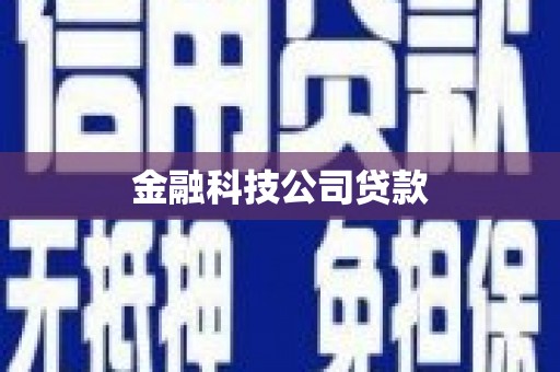 金沙金融科技公司贷款