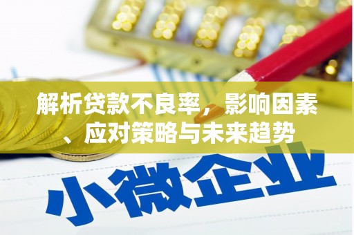 金沙解析贷款不良率，影响因素、应对策略与未来趋势