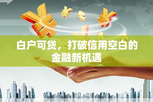 金沙白户可贷，打破信用空白的金融新机遇