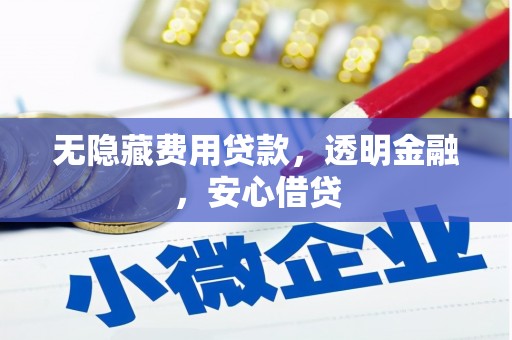 金沙无隐藏费用贷款，透明金融，安心借贷