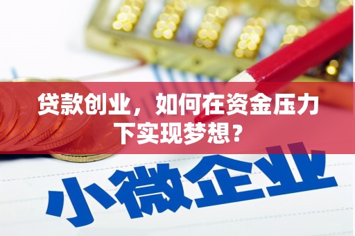 金沙贷款创业，如何在资金压力下实现梦想？