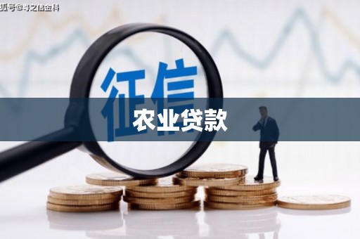 金沙农业贷款
