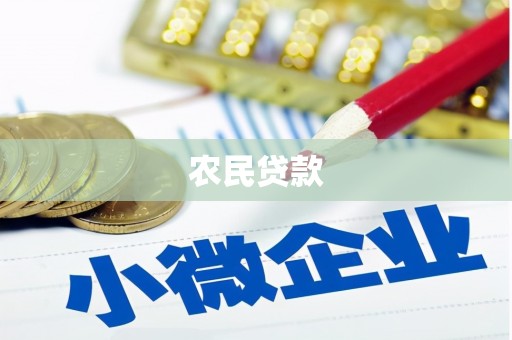 金沙农民贷款