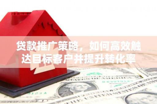 金沙贷款推广策略，如何高效触达目标客户并提升转化率