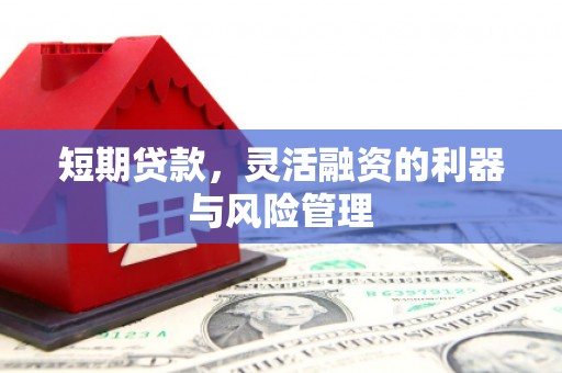 金沙短期贷款，灵活融资的利器与风险管理