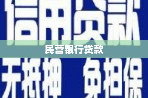 金沙民营银行贷款