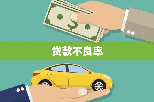金沙贷款不良率