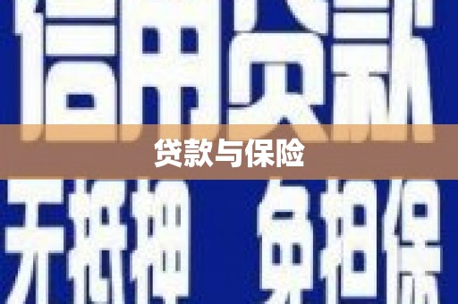 金沙贷款与保险