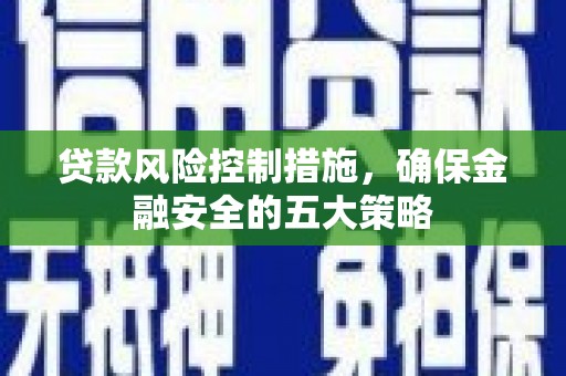 金沙贷款风险控制措施，确保金融安全的五大策略