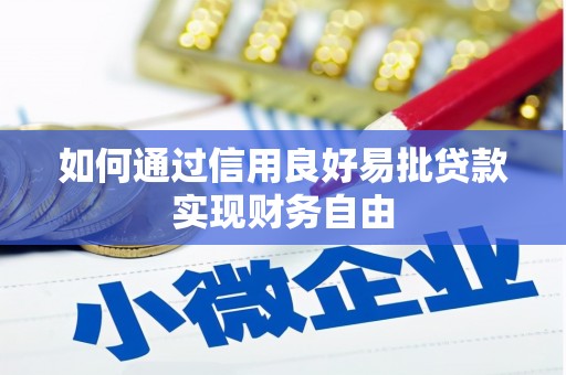 金沙如何通过信用良好易批贷款实现财务自由