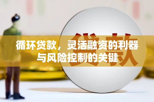 金沙循环贷款，灵活融资的利器与风险控制的关键