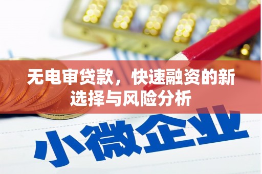 金沙无电审贷款，快速融资的新选择与风险分析