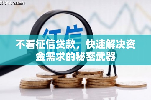 金沙不看征信贷款，快速解决资金需求的秘密武器