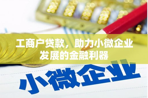 金沙工商户贷款，助力小微企业发展的金融利器