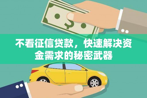金沙不看征信贷款，快速解决资金需求的秘密武器
