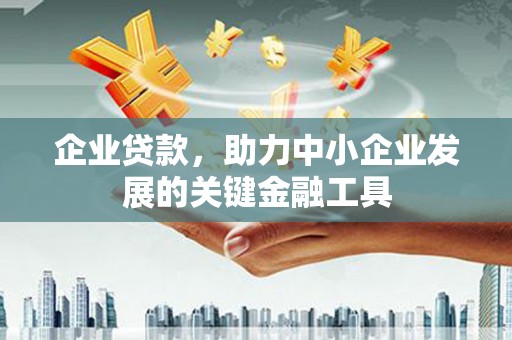 金沙企业贷款，助力中小企业发展的关键金融工具