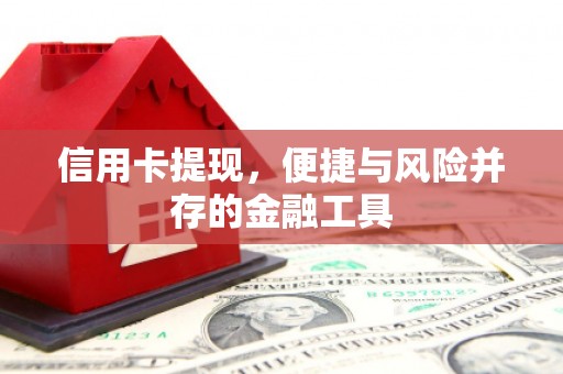 金沙信用卡提现，便捷与风险并存的金融工具