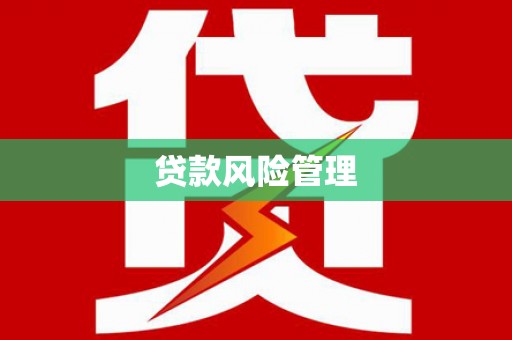 金沙贷款风险管理