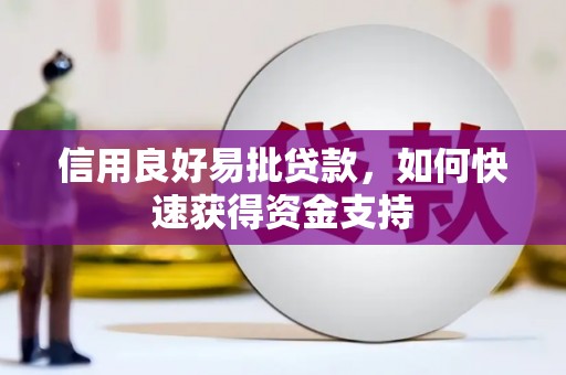 金沙信用良好易批贷款，如何快速获得资金支持