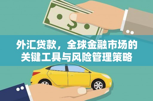 金沙外汇贷款，全球金融市场的关键工具与风险管理策略