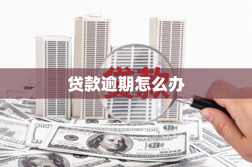 金沙贷款逾期怎么办