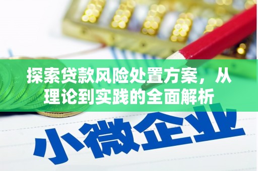 金沙探索贷款风险处置方案，从理论到实践的全面解析