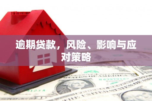 金沙逾期贷款，风险、影响与应对策略