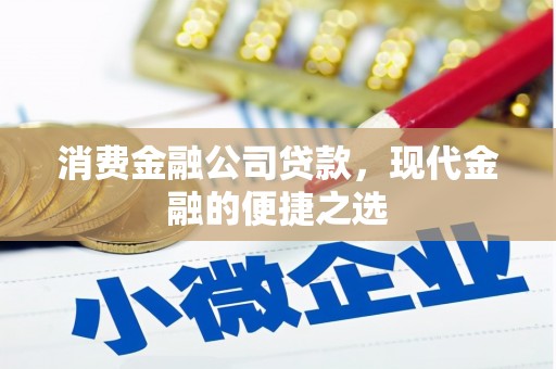 金沙消费金融公司贷款，现代金融的便捷之选