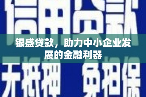 金沙银盛贷款，助力中小企业发展的金融利器