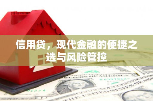金沙信用贷，现代金融的便捷之选与风险管控