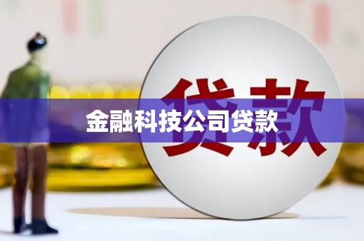 金沙金融科技公司贷款