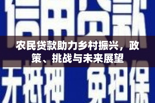金沙农民贷款助力乡村振兴，政策、挑战与未来展望