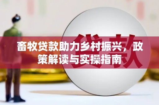 金沙畜牧贷款助力乡村振兴，政策解读与实操指南