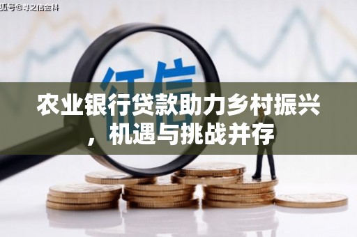 金沙农业银行贷款助力乡村振兴，机遇与挑战并存