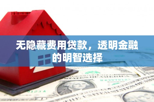 金沙无隐藏费用贷款，透明金融的明智选择