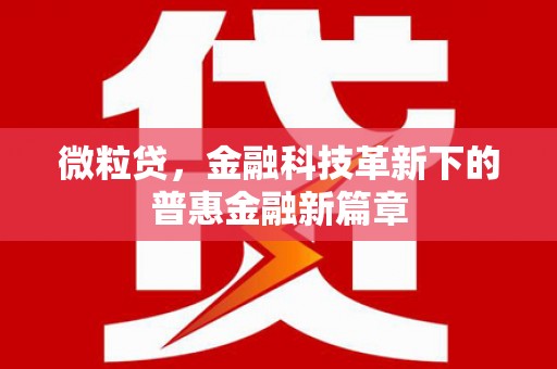 金沙微粒贷，金融科技革新下的普惠金融新篇章
