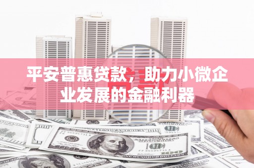 金沙平安普惠贷款，助力小微企业发展的金融利器