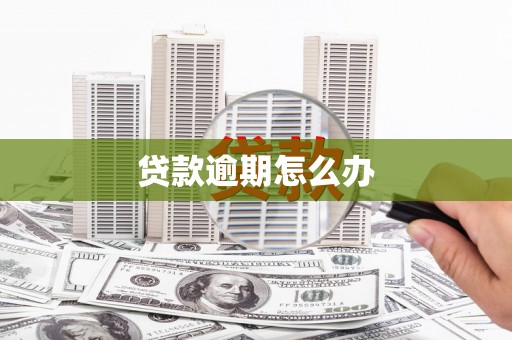 金沙贷款逾期怎么办