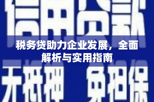 金沙税务贷助力企业发展，全面解析与实用指南