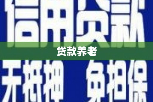 金沙贷款养老