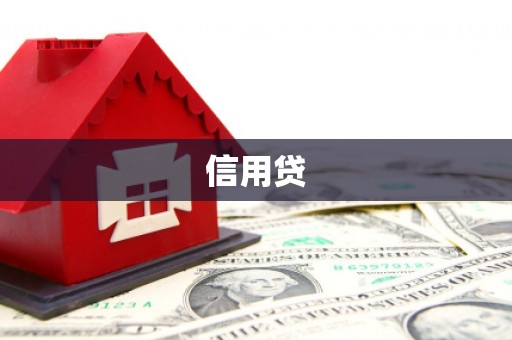 金沙信用贷