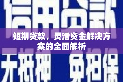 金沙短期贷款，灵活资金解决方案的全面解析