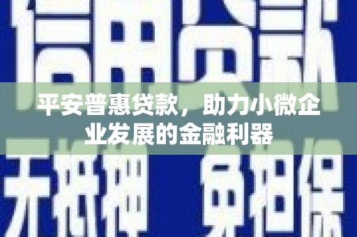 金沙平安普惠贷款，助力小微企业发展的金融利器