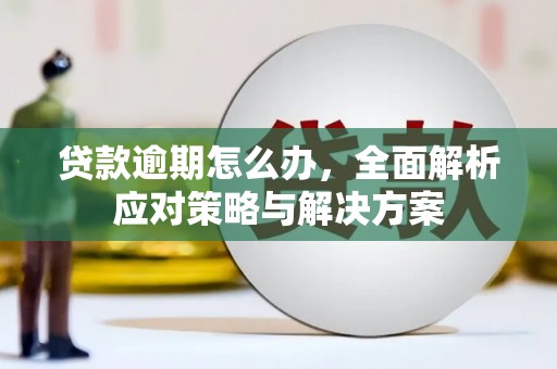 金沙贷款逾期怎么办，全面解析应对策略与解决方案